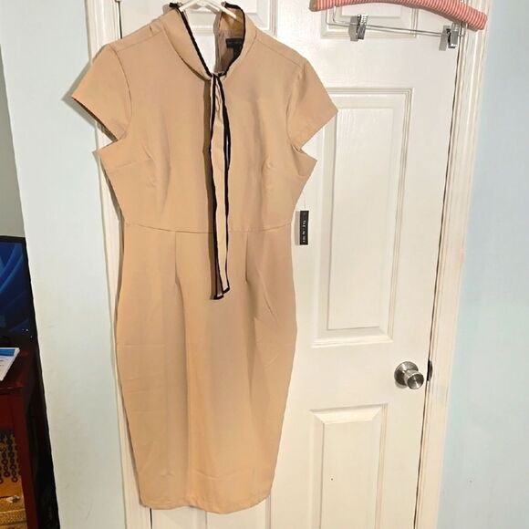 Elegant Tan Dress the limited size 10 - Picture 1 of 7